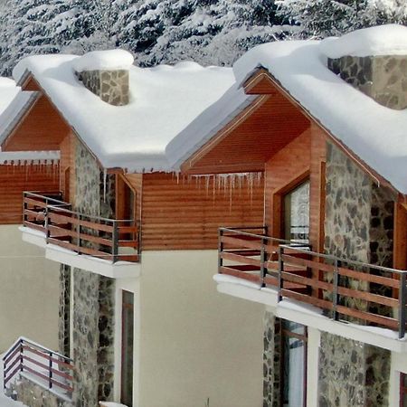 Villa Mtashi Bakuriani Ngoại thất bức ảnh
