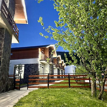 Villa Mtashi Bakuriani Ngoại thất bức ảnh