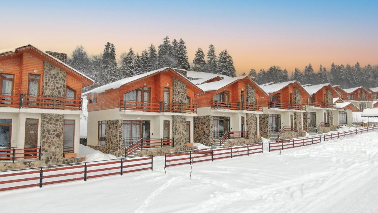 Villa Mtashi Bakuriani Ngoại thất bức ảnh