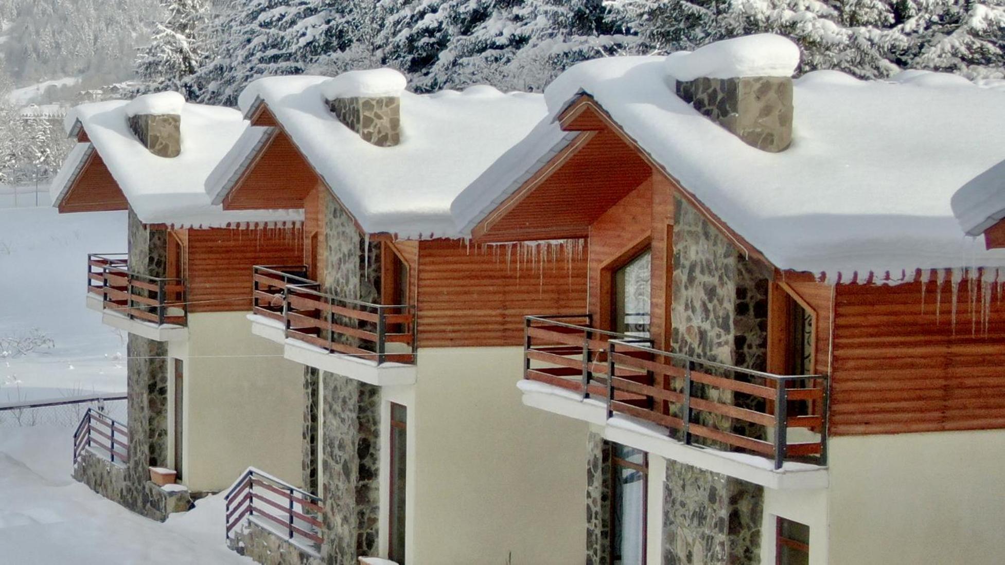Villa Mtashi Bakuriani Ngoại thất bức ảnh