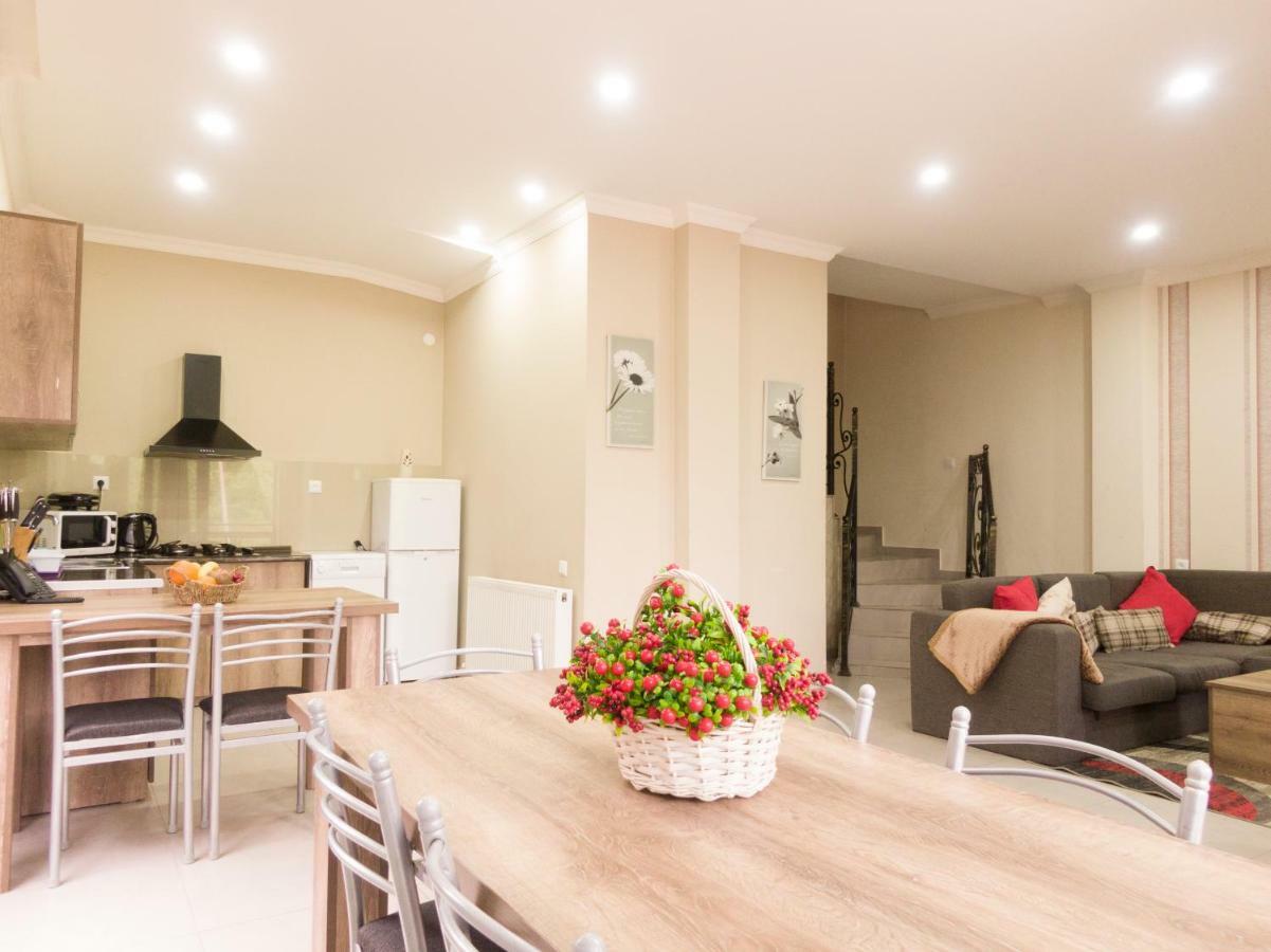 Villa Mtashi Bakuriani Ngoại thất bức ảnh